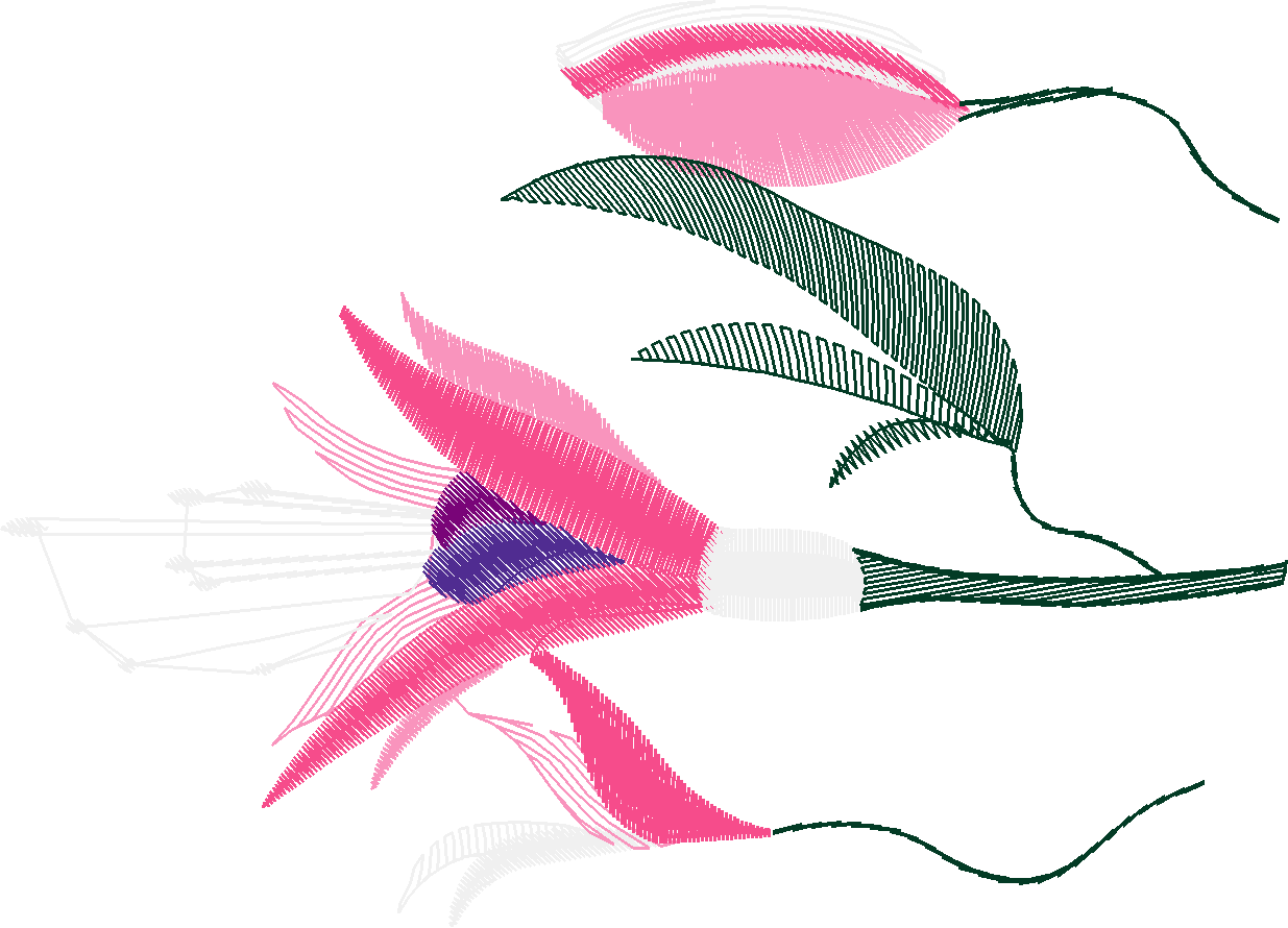 Floral 35  (17)