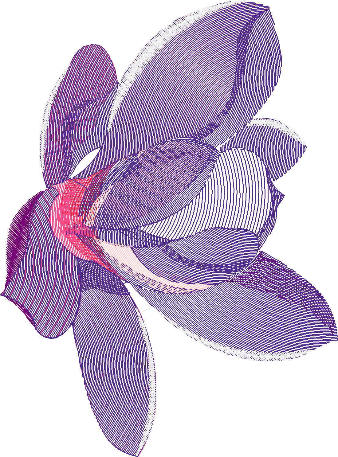 Floral 35  (36)
