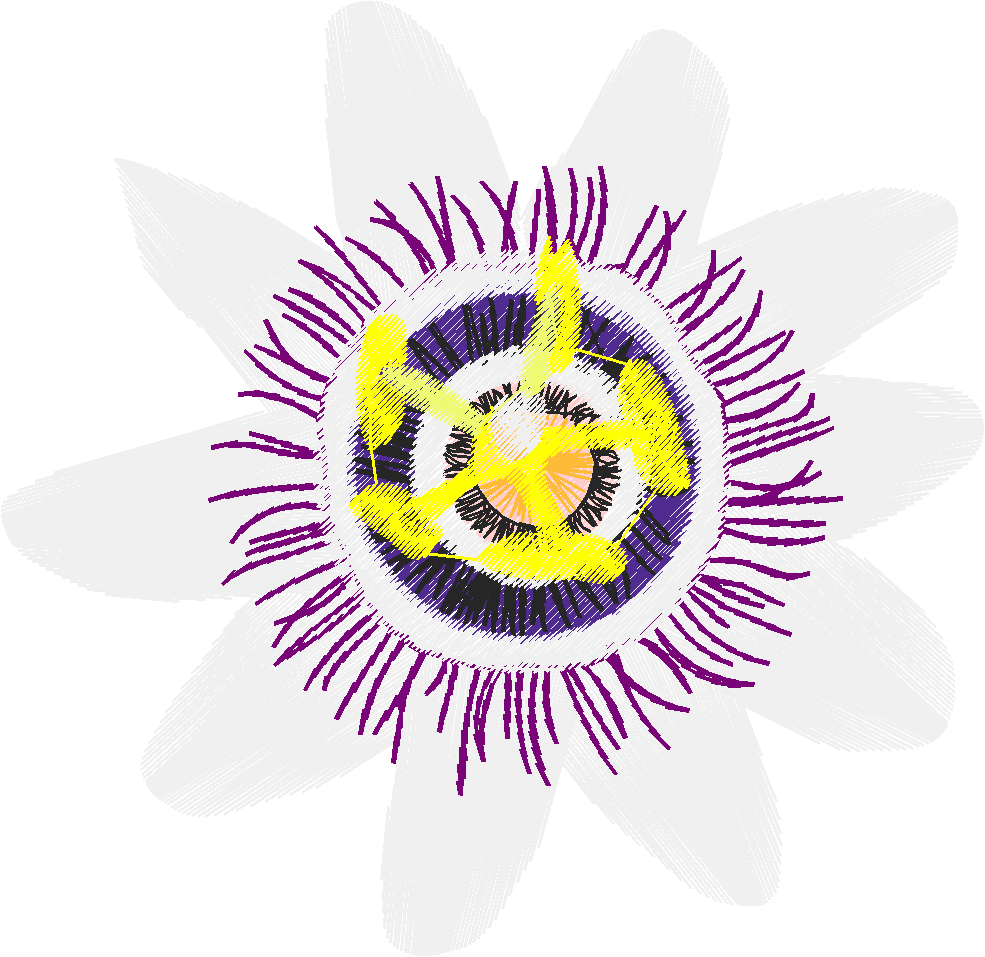 Floral 35  (8)