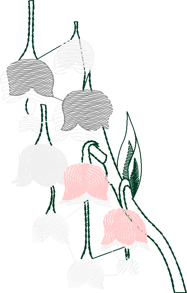 Floral 35  (9)