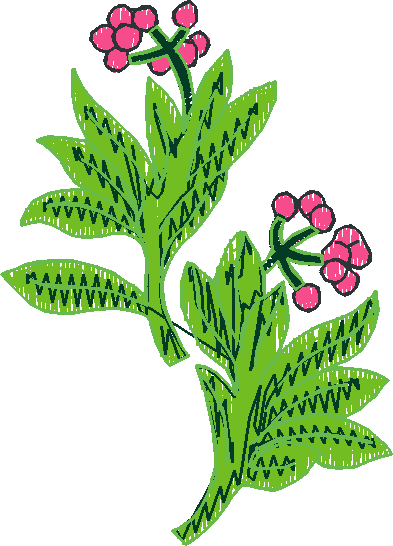 Floral 4  (11)