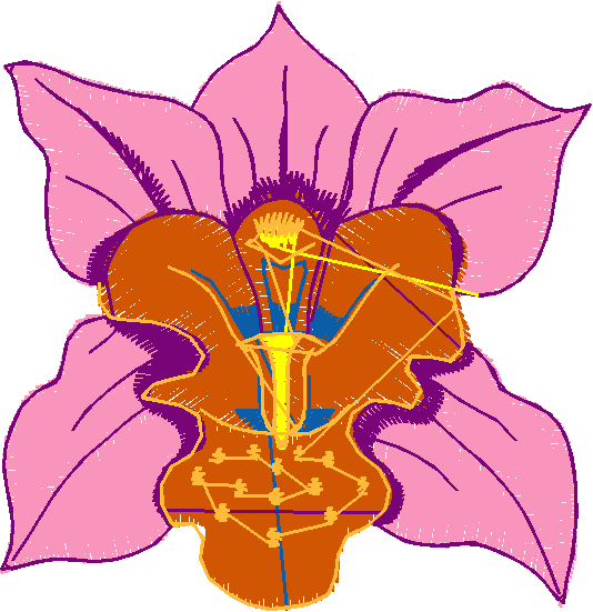 Floral 44  (1)