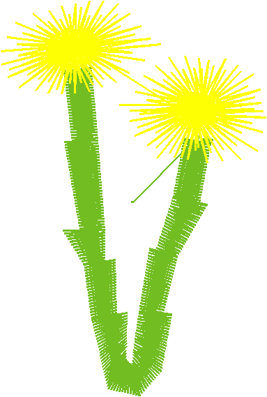 Floral 44  (11)