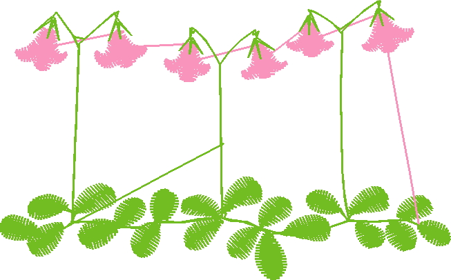 Floral 44  (15)