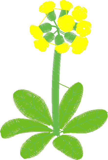 Floral 44  (16)