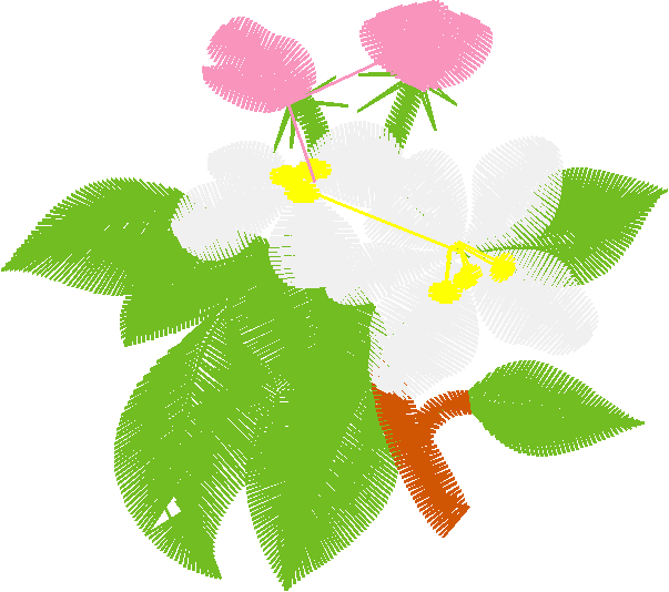 Floral 44  (33)