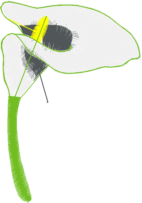 Floral 44  (7)