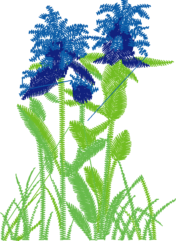 Floral 46  (4)