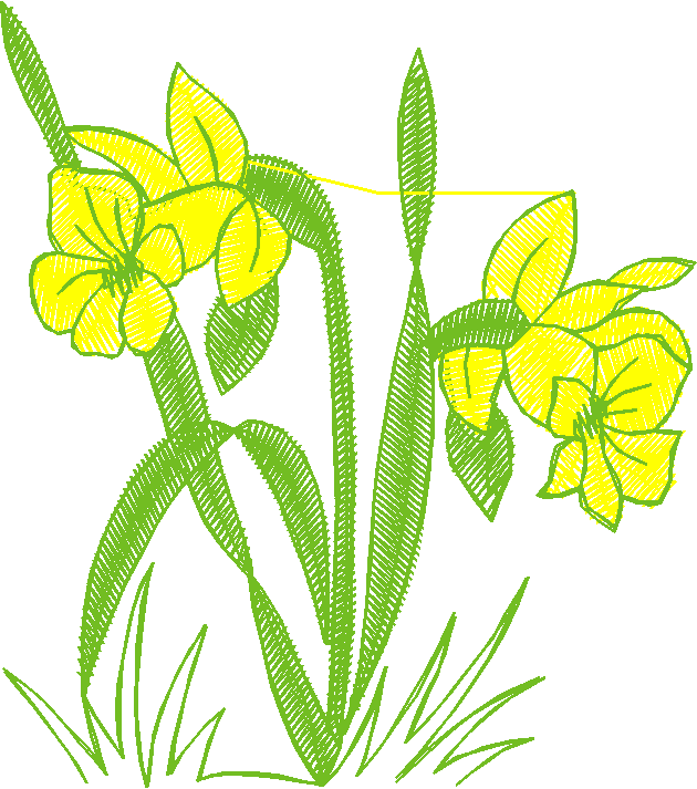 Floral 49  (11)
