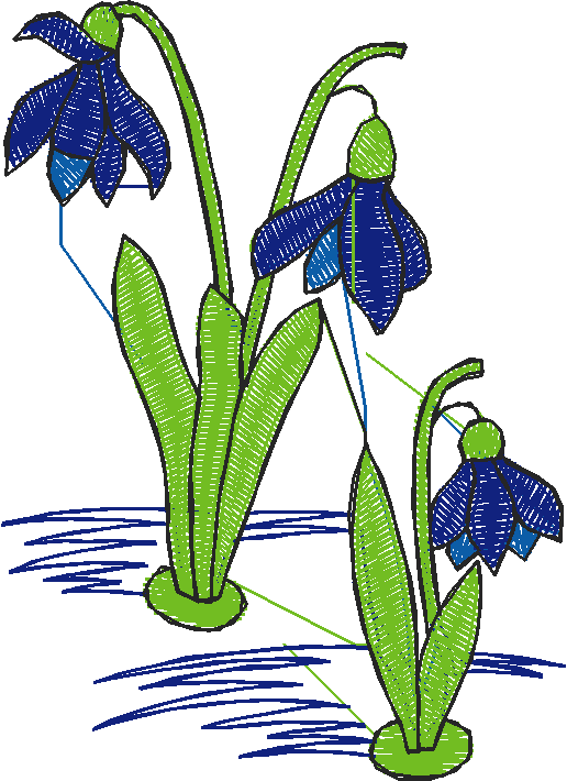 Floral 49  (12)
