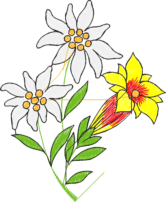 Floral 49  (4)