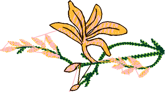 Floral 5  (16)