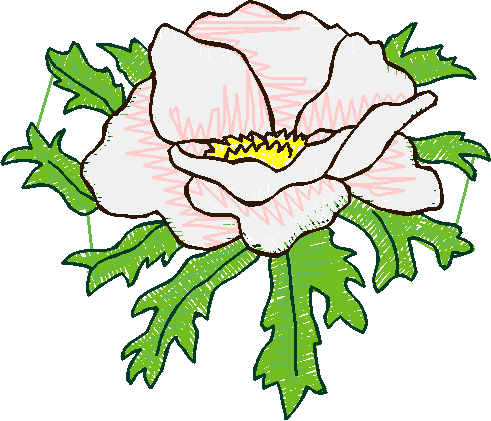 Floral 5  (6)