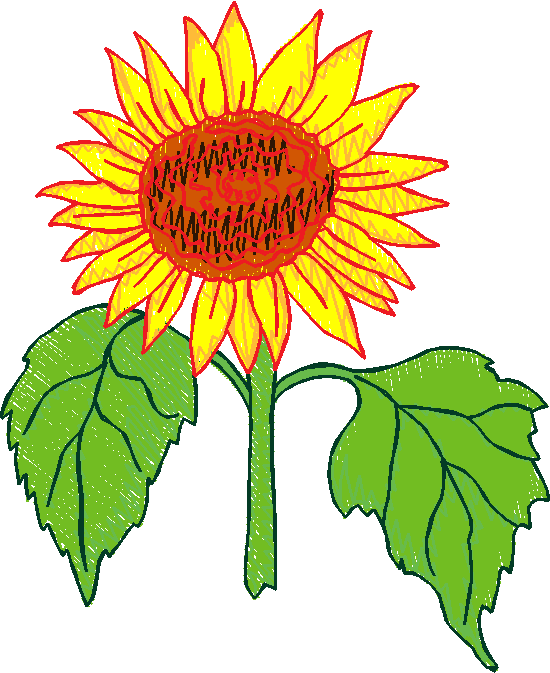 Floral 5  (8)