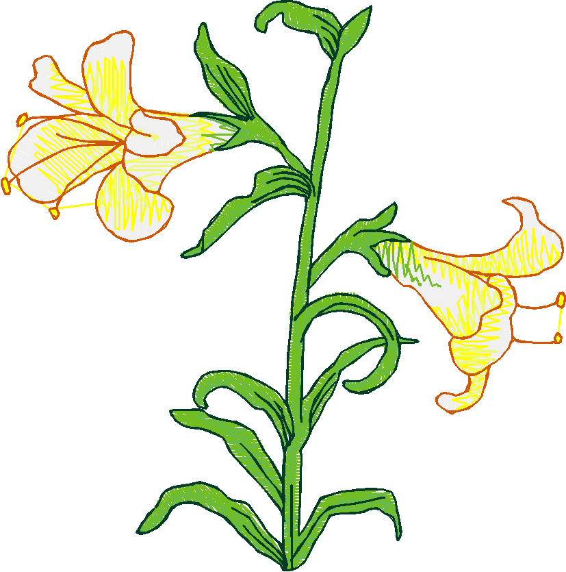 Floral 5  (9)