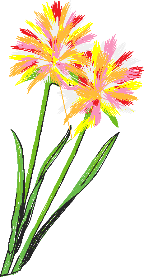 Floral 50  (10)