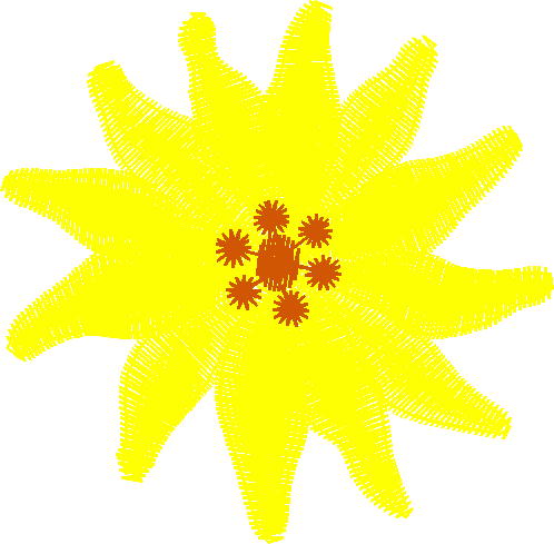 Floral 50  (20)