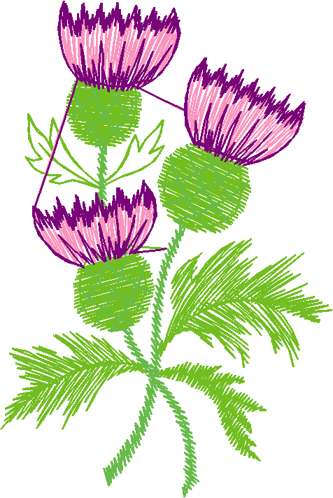 Floral 50  (7)