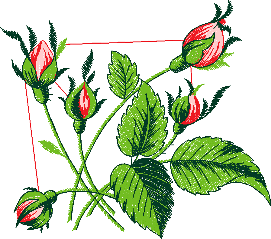 Floral 51  (16)