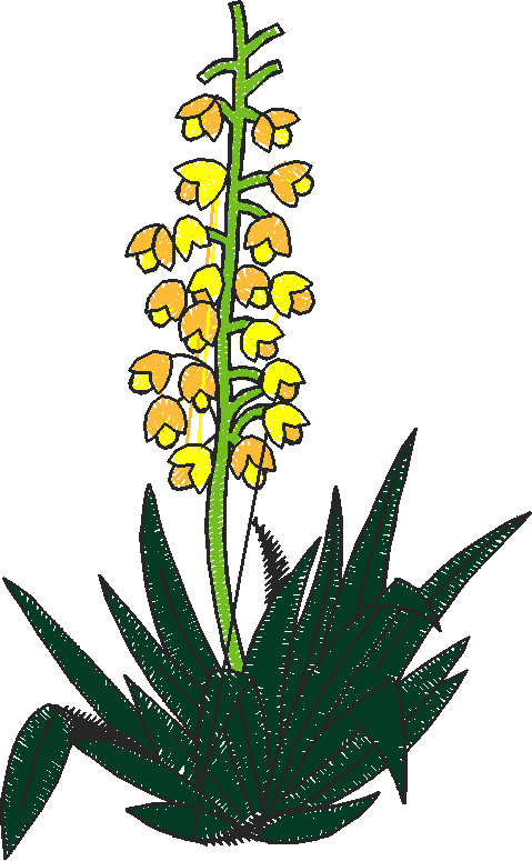 Floral 51  (18)