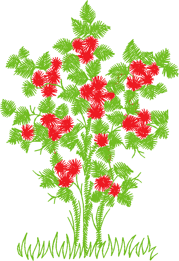 Floral 51  (4)