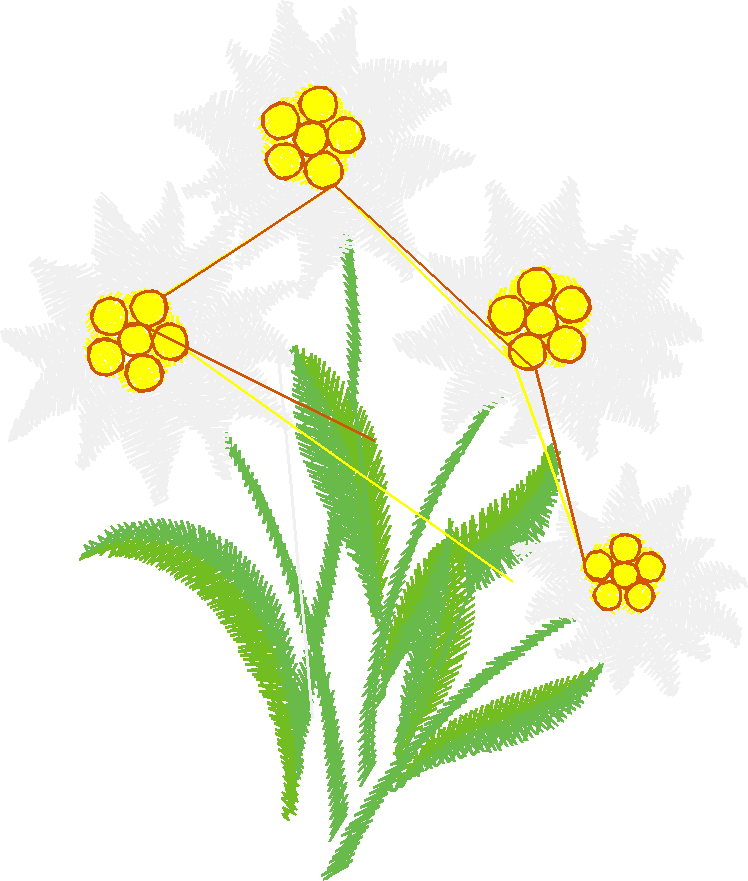 Floral 52  (12)