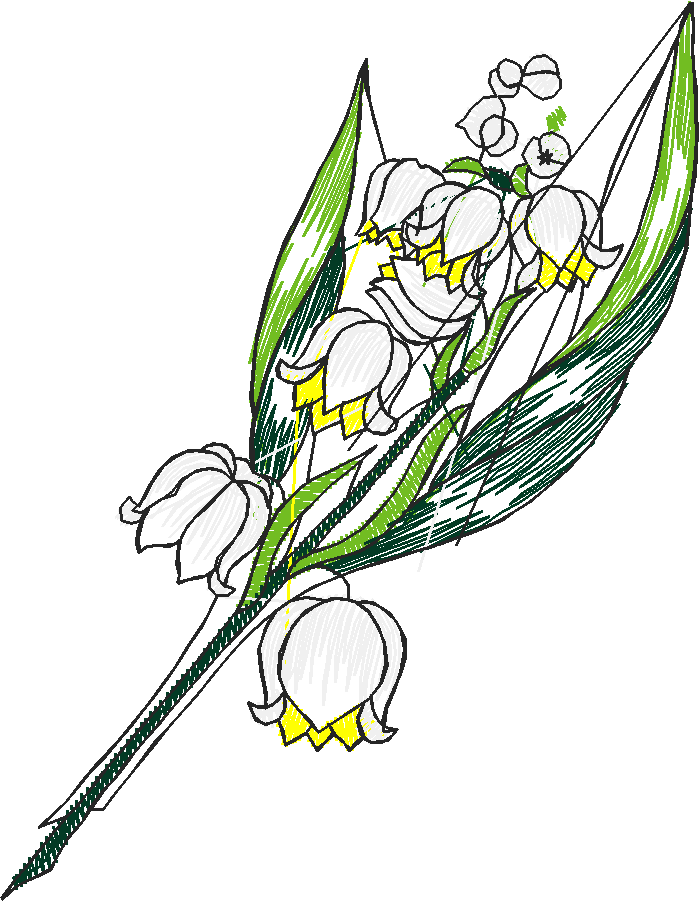 Floral 52  (8)