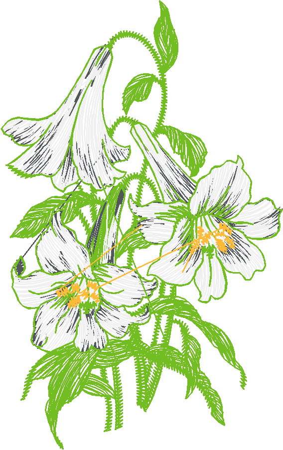 Floral 52  (9)