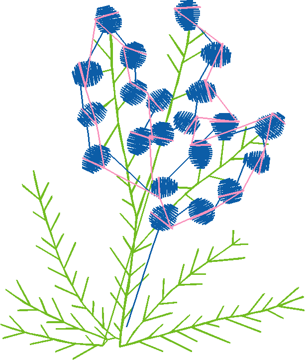 Floral 53  (6)