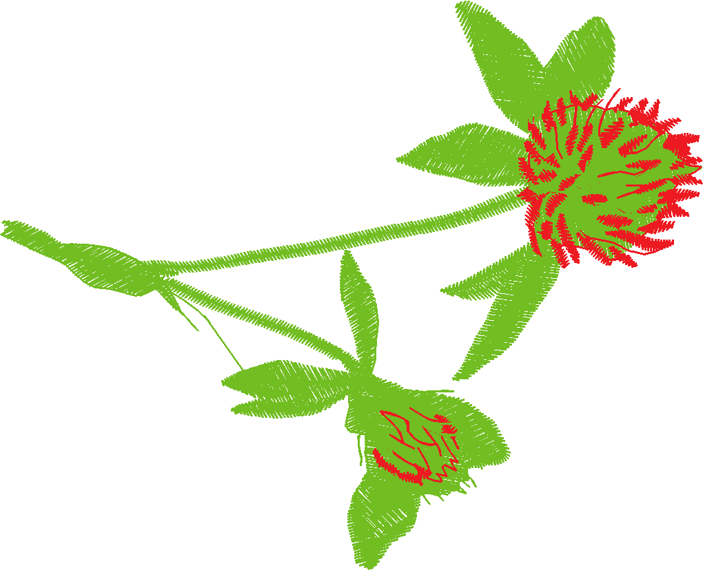 Floral 54  (14)