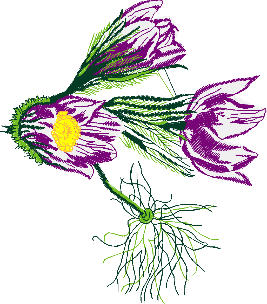 Floral 54  (18)