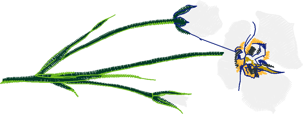 Floral 54  (2)