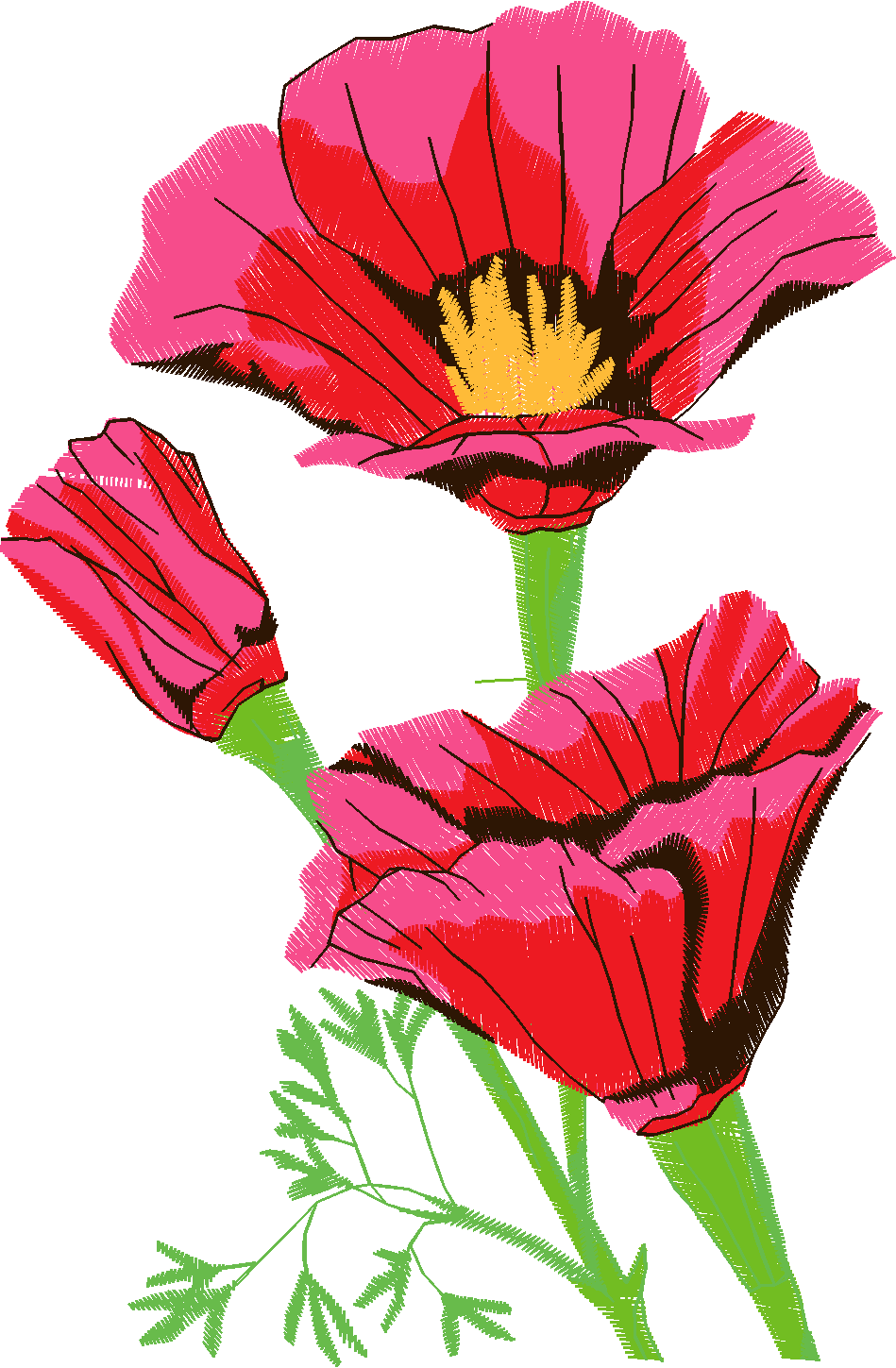 Floral 54  (20)