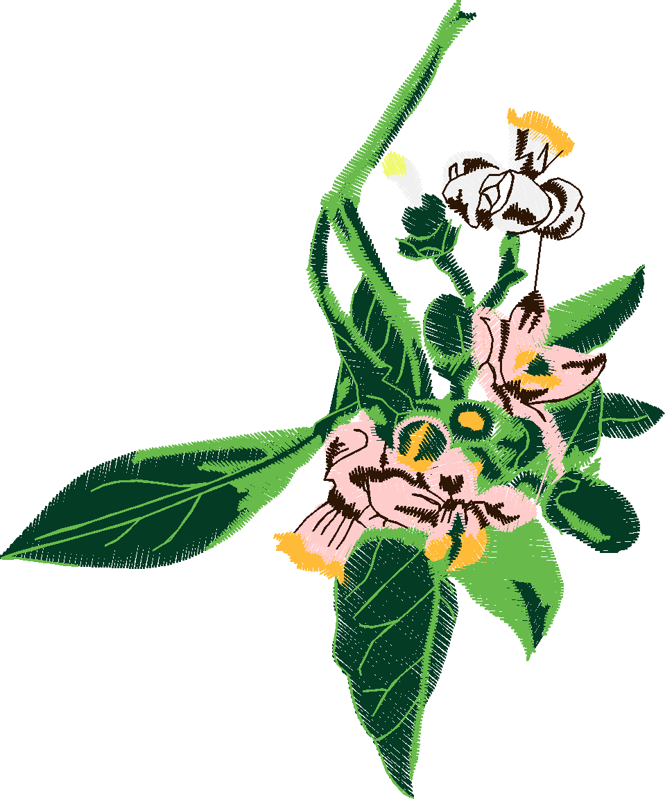 Floral 54  (39)