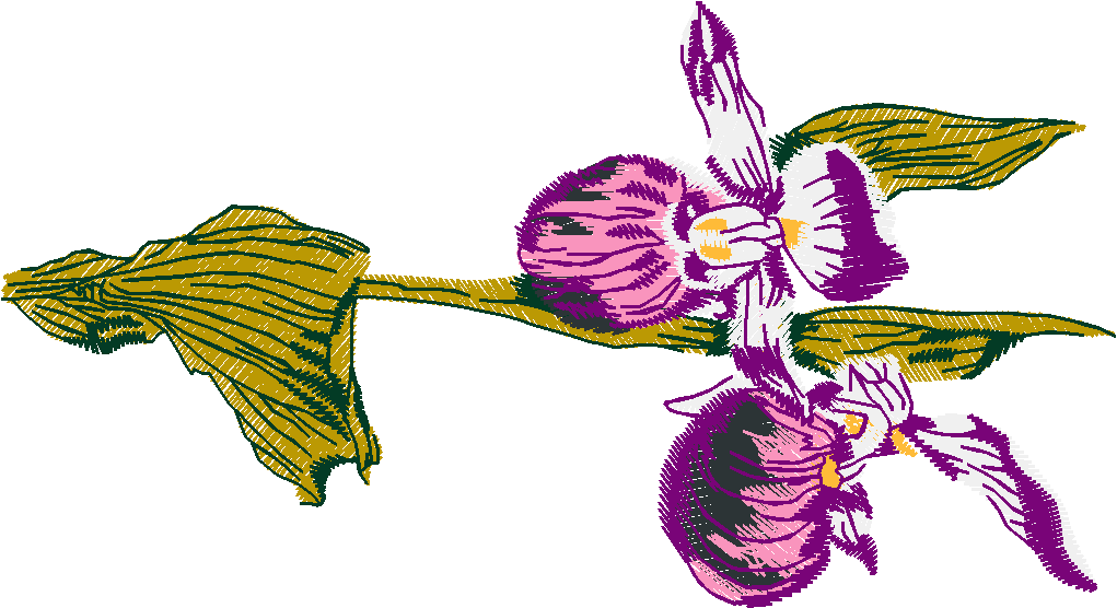 Floral 54  (6)