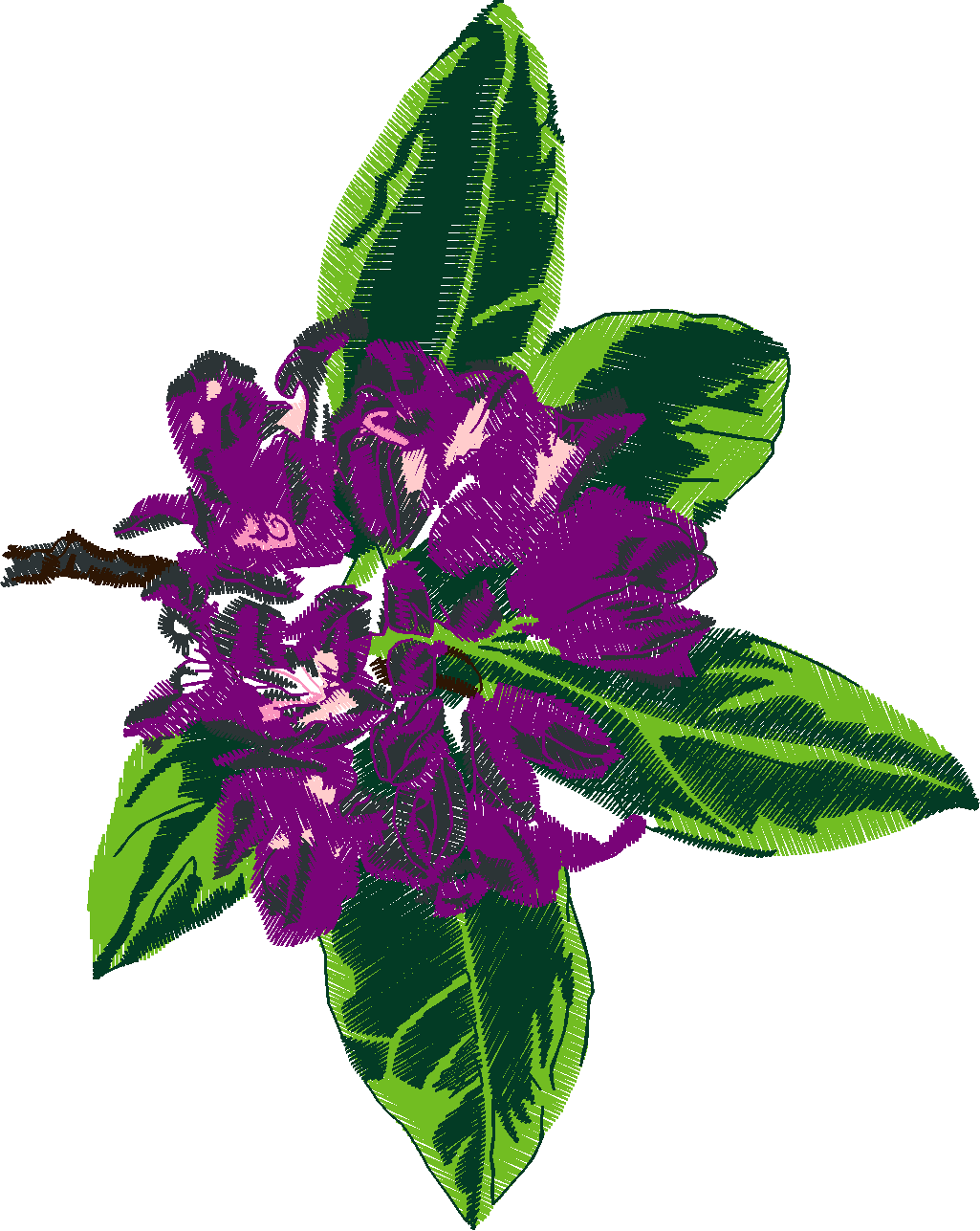 Floral 54  (9)