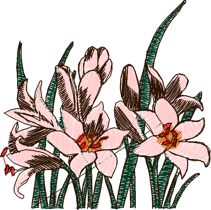 Floral 63  (8)