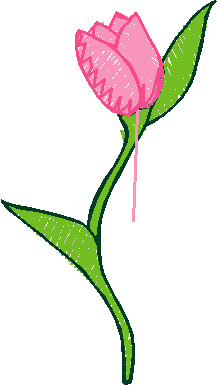 Floral 7  (6)