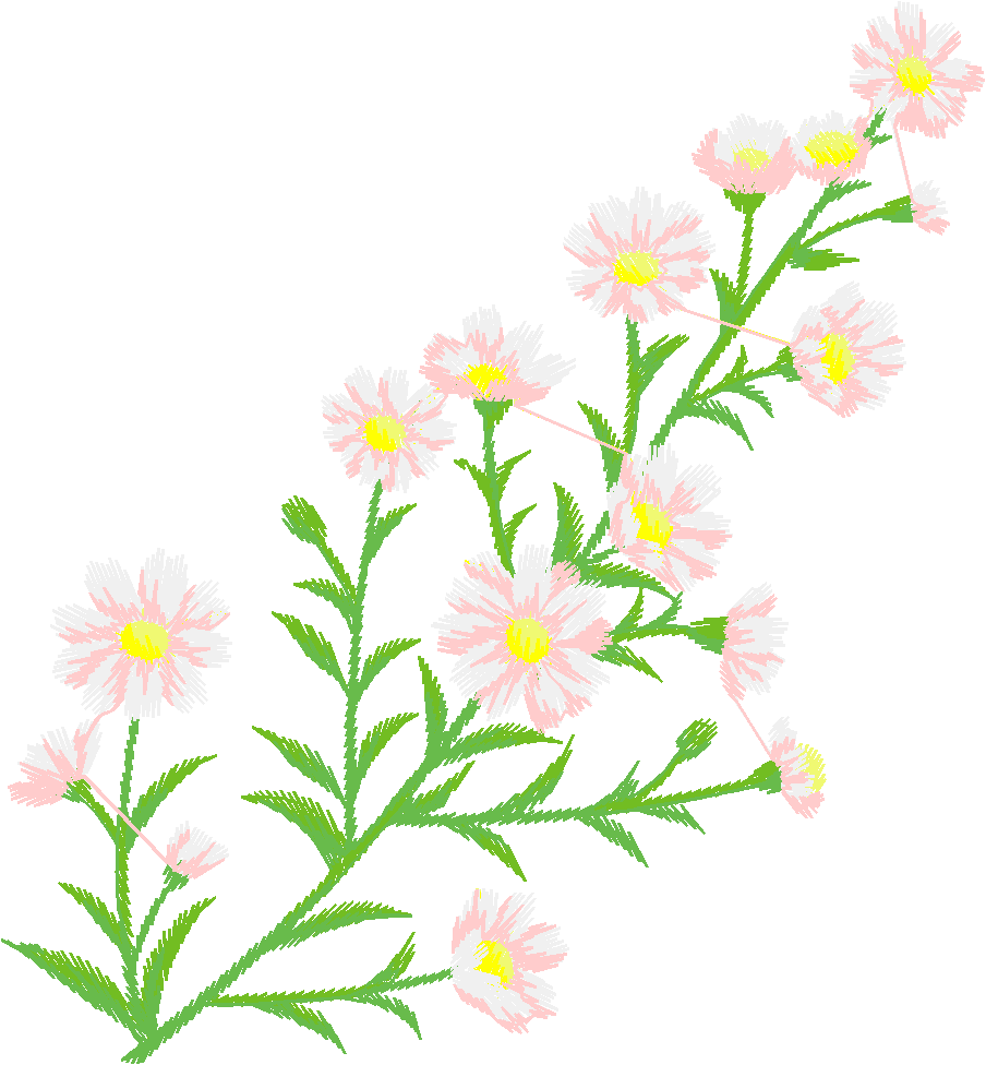 Floral 75  (51)