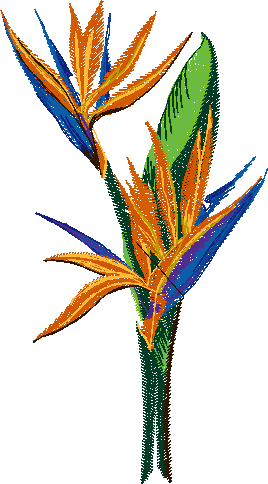 Floral 83  (10)