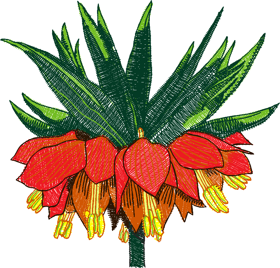 Floral 83  (14)