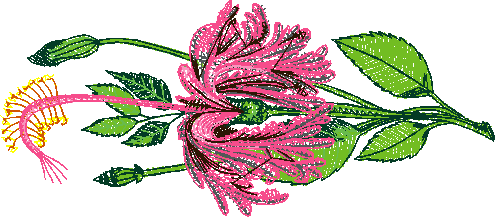 Floral 83  (15)