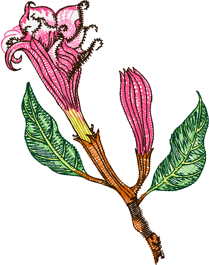 Floral 83  (18)