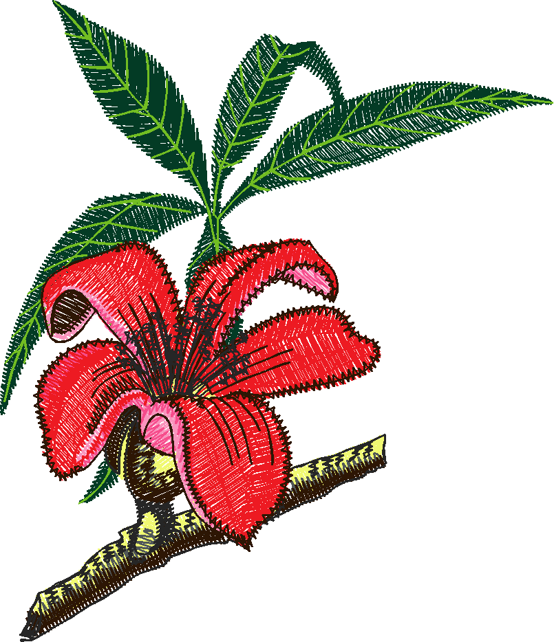 Floral 83  (2)