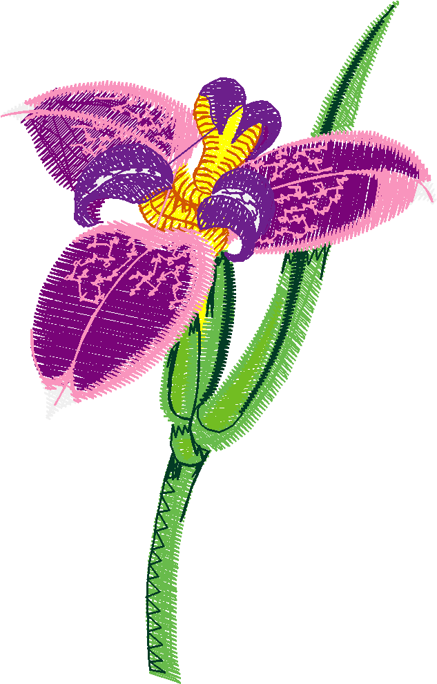 Floral 83  (8)