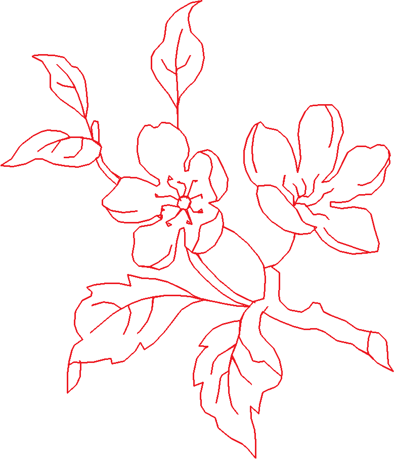 Floral 85  (10)