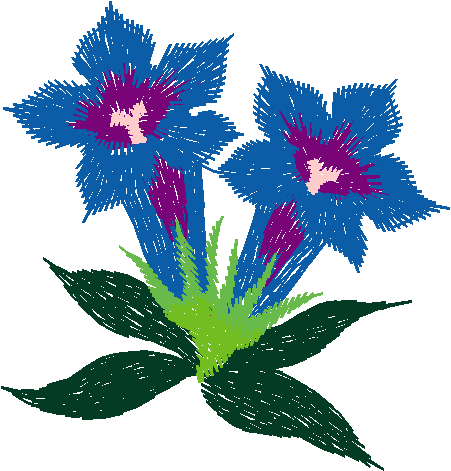 Floral 85  (109)