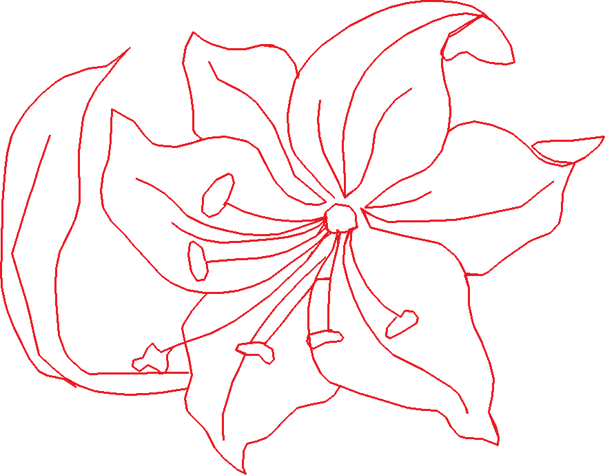 Floral 85  (6)