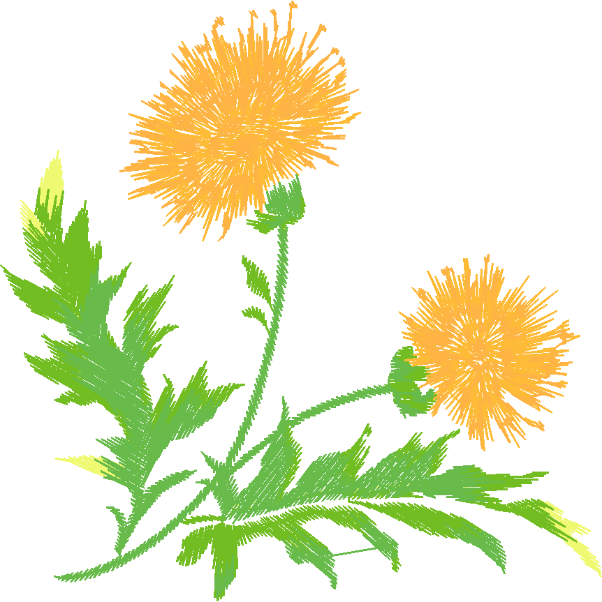 Floral 88  (13)