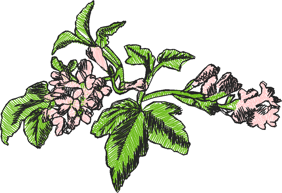 Floral 89  (15)